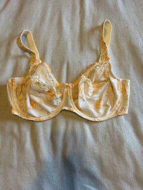 PrimaDonna bra UK 36E